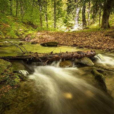 Bsports网页版登录